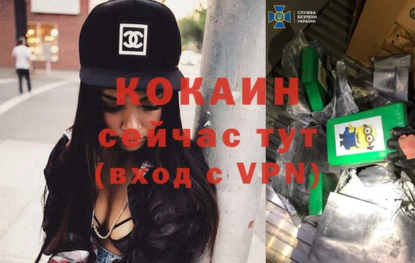спиды Алзамай