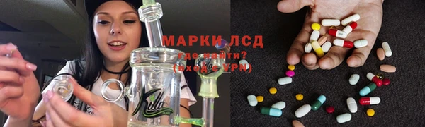 спиды Алзамай