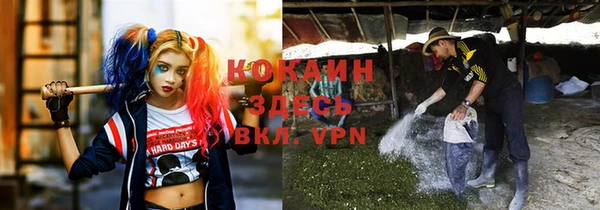 прущие крисы Армянск