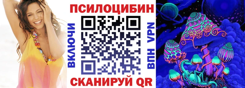 хочу наркоту  Нурлат  Галлюциногенные грибы Psilocybine cubensis 